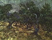 Vincent Van Gogh The Olive Grove oil painting picture wholesale